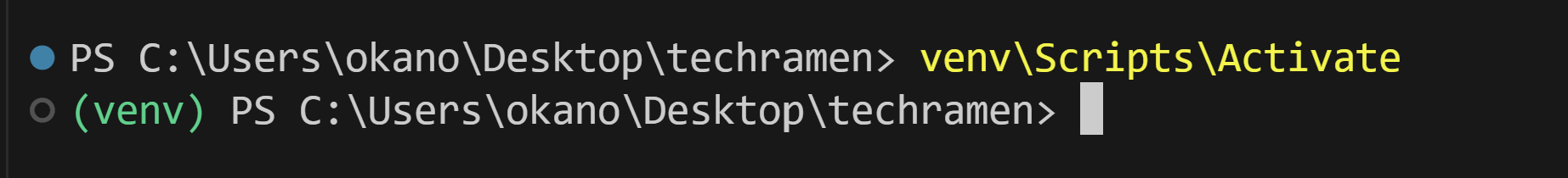 _images/python-venv-activate-terminal.png